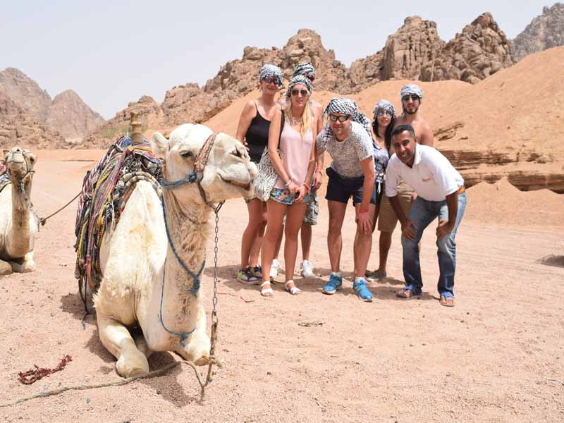 Bedouin Dinner Tour Dahab 1